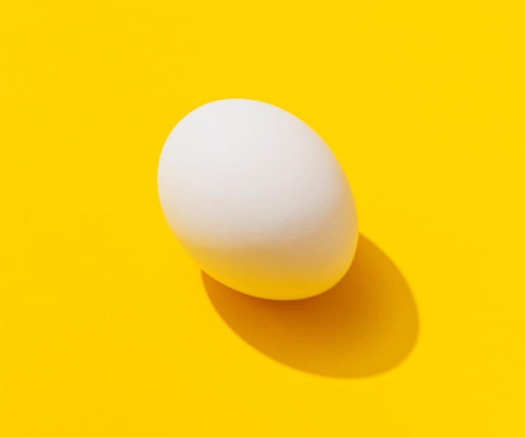 white chicken egg with yellow background